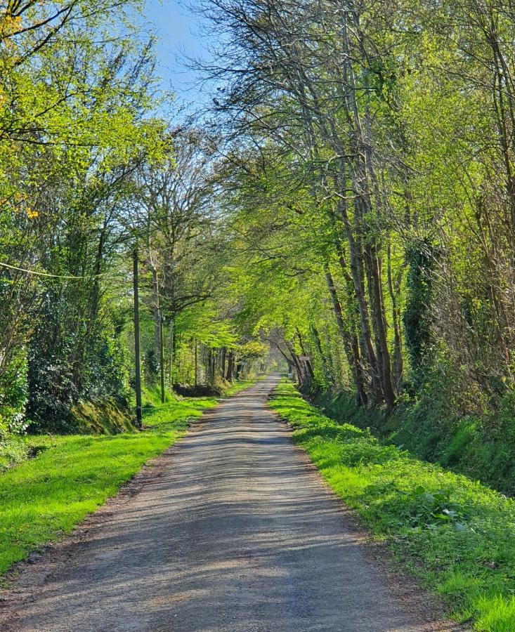 Saint-Gâtien-des-Bois Le Clos Joly 14 Bed & Breakfast エクステリア 写真